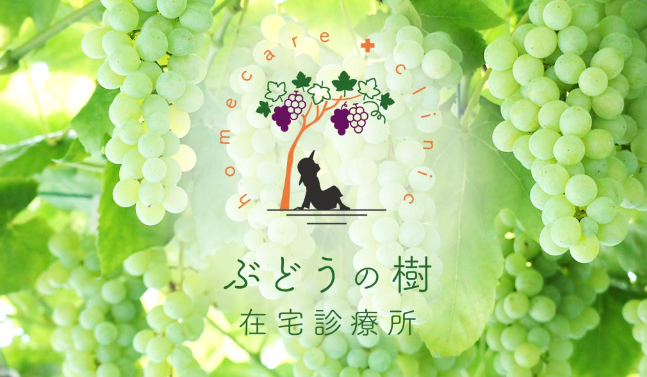 ぶどうの樹在宅診療所