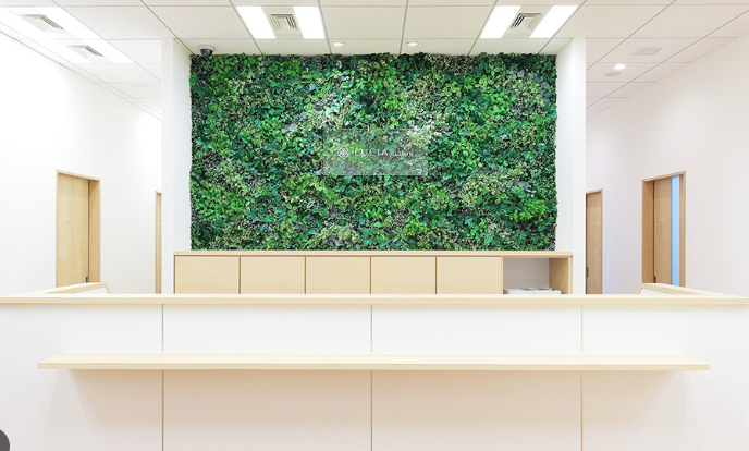 ルシアクリニック 大阪梅田院