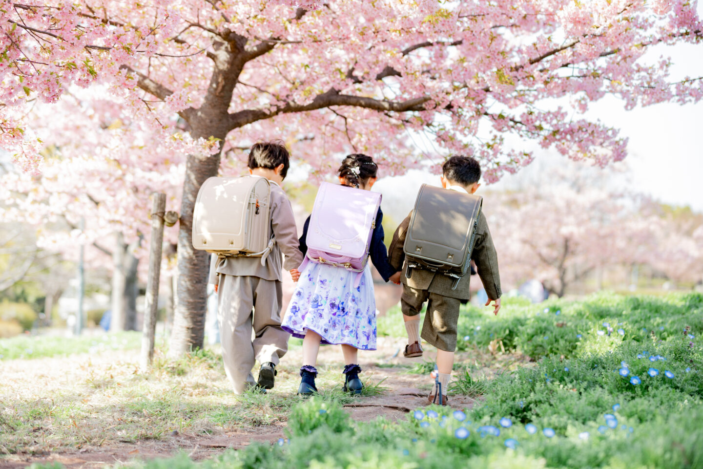 【看護師向け】児童福祉法とは？対象年齢・主要施設・最新の改正ポイントから小児看護の実践まで徹底解説