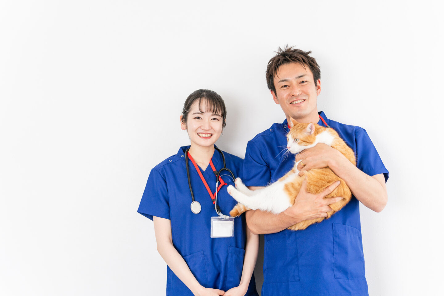 愛玩動物看護師と動物看護師の違いは？名称独占・診療の補助・経過措置の期限と、資格を取る人・取らなくてよい人の判定表